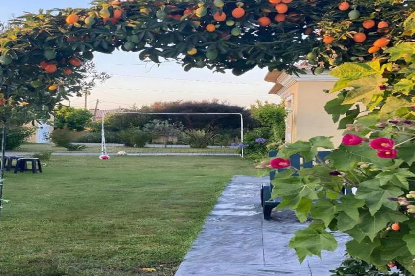 Kleines Paradies in der Nähe des portugiesischen Venedigs 1 - foto 24