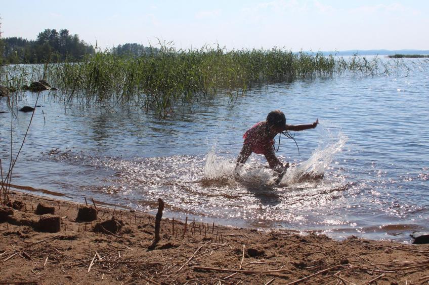 Rääkkylä, villa raita - foto 3