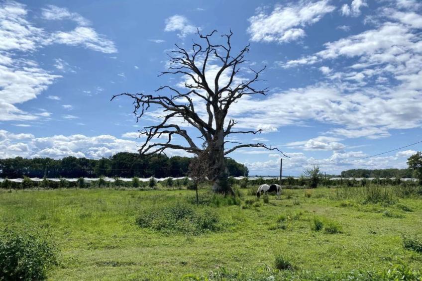 Maison de vacances - BRION - foto 33