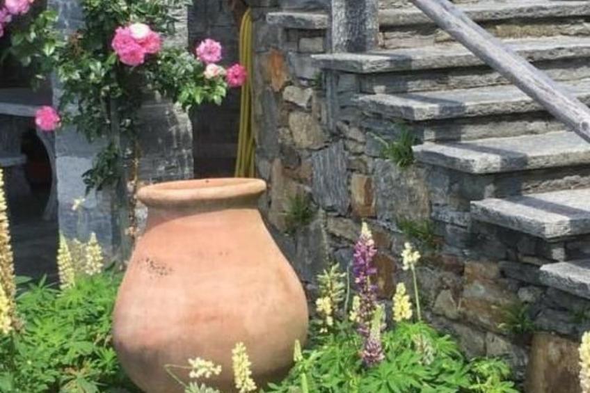 "Haus St. Bernhard - foto 9