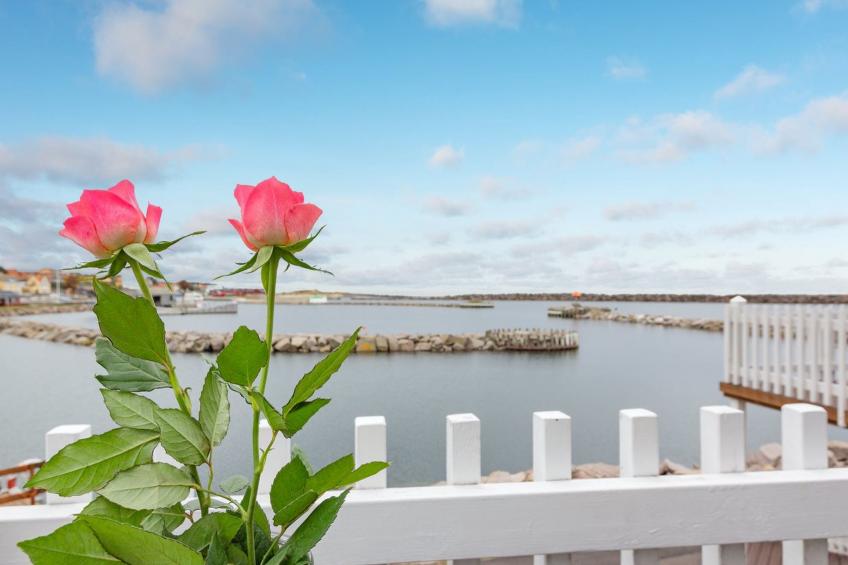 "Jordanka" - 10m from the sea in Bornholm - foto 10