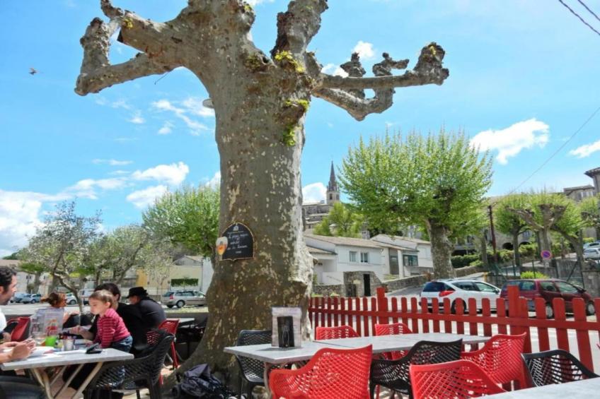 Coccinelles - foto 23