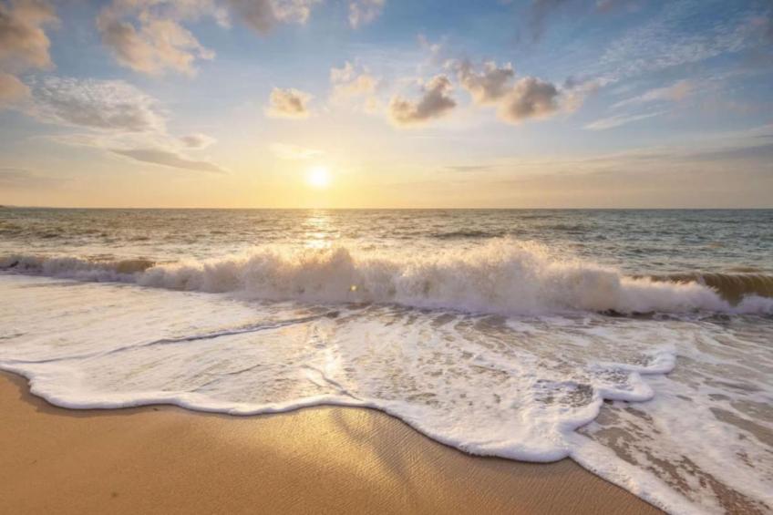 Résidence Juliana 77 - foto 22