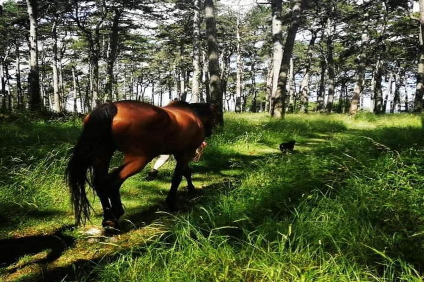 Apartments Indira - Bali - One Bedroom Apartment - foto 30