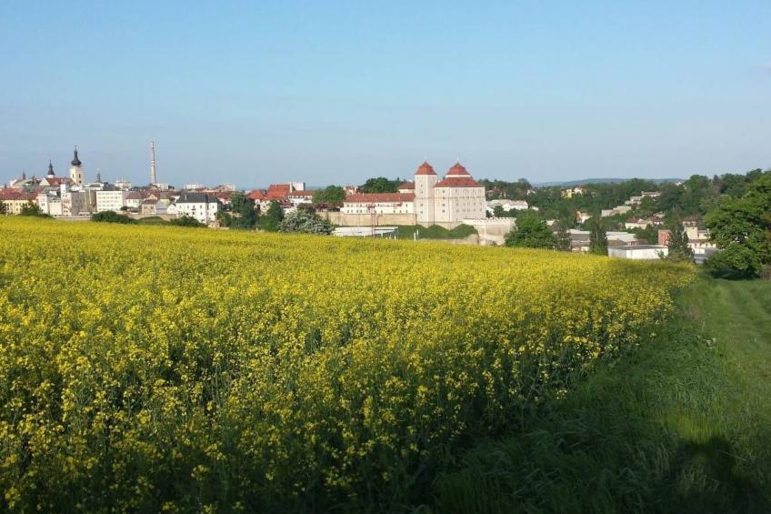 Pool-Wellness JOSKA - foto 29