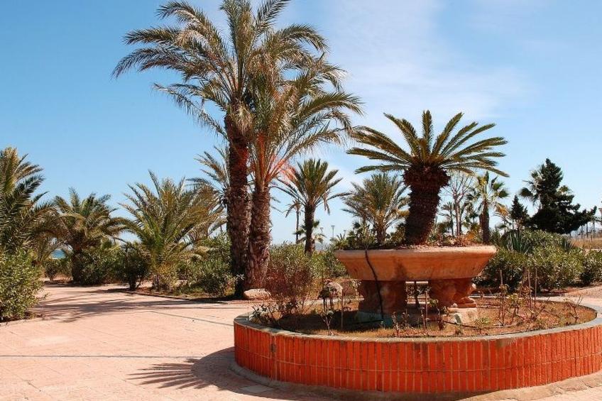 Violeta 17 - foto 140