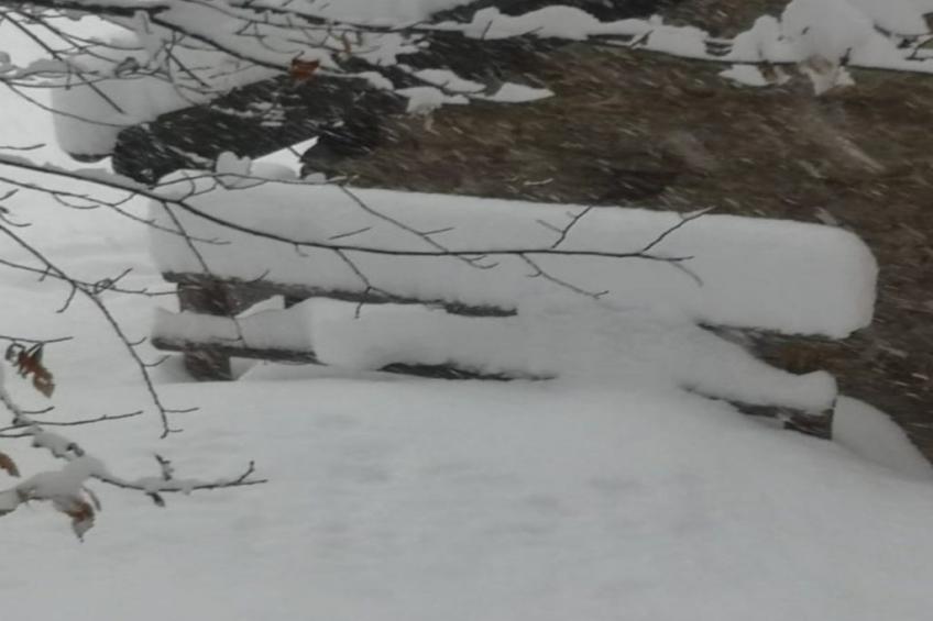 Rustico Raslina - foto 36