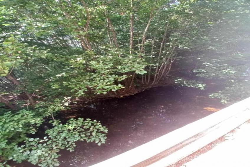 La Coccinelle - foto 29