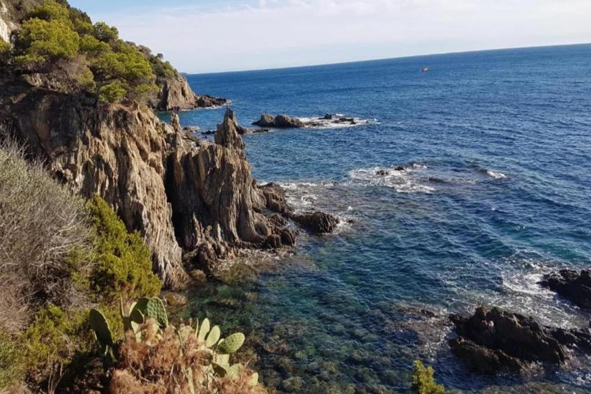 Le Riviera 4 - foto 33