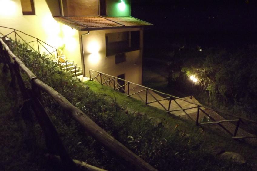 Flache Linde - foto 55