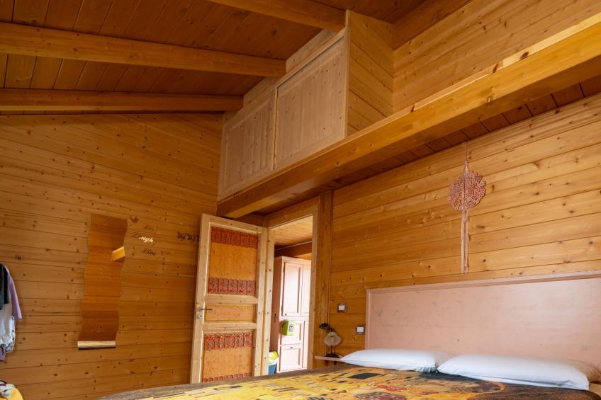 'Vindemia la salmon - foto 10