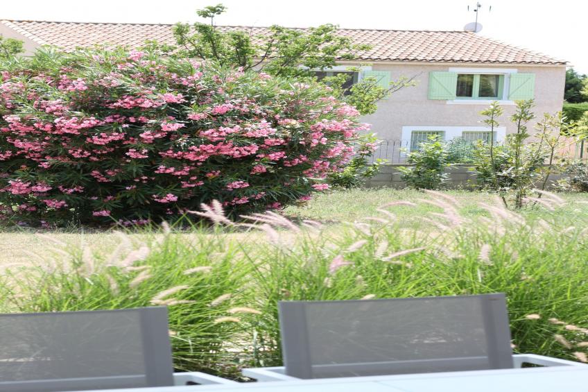 Les Palmiers - foto 33