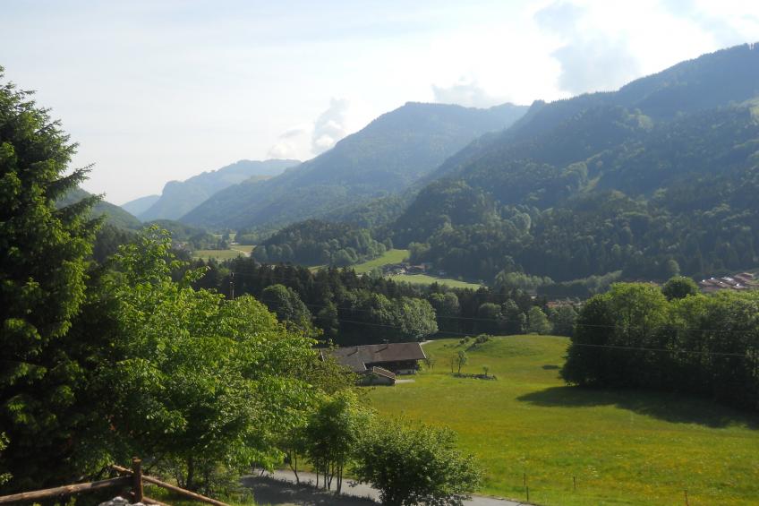 Chalet Niederndorferberg - foto 12