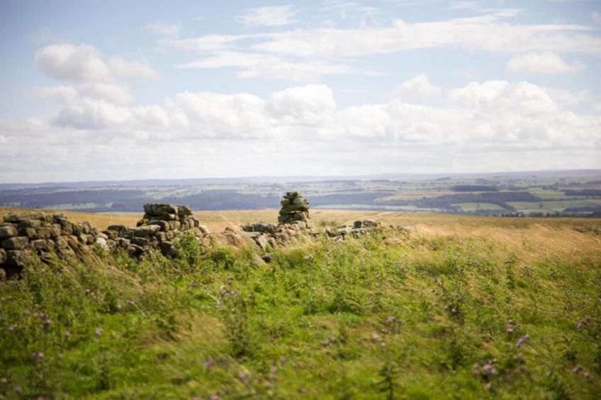 The Rushy Lot - foto 25