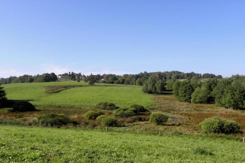 Dum u Lesa - foto 25