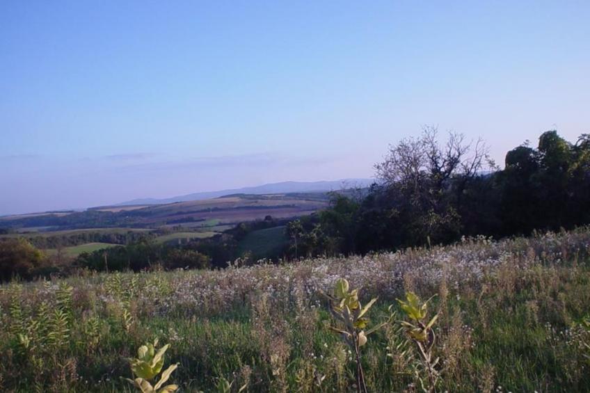 Legedi Ház - foto 4