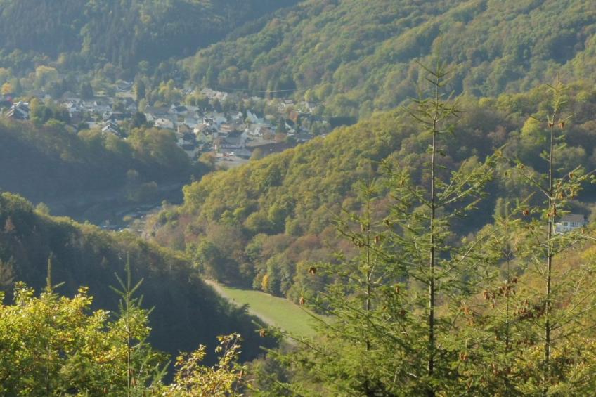 Chalet Wiedfluh in Waldbreitbach - foto 36