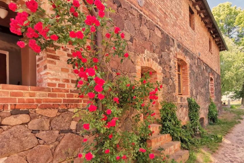 Studio Brennerei Haselberg - foto 2