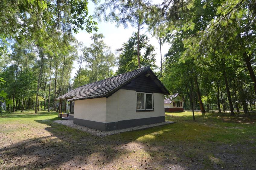 't Haasje - foto 3