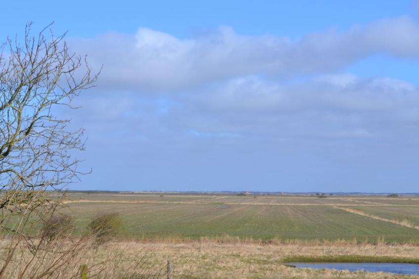 "Arik" - 700m from the sea in Western Jutland - foto 5