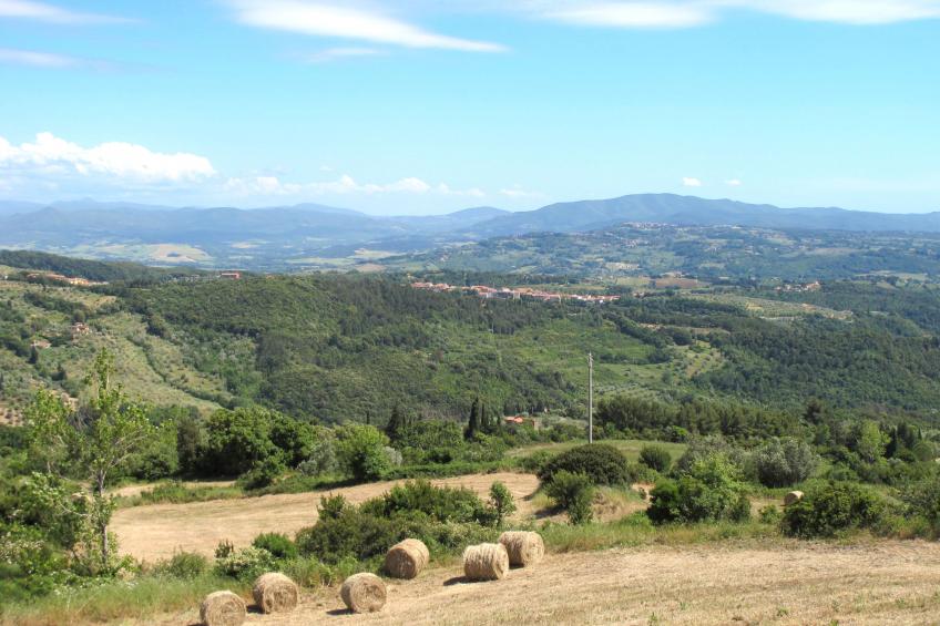 Podere Boscherini - foto 83