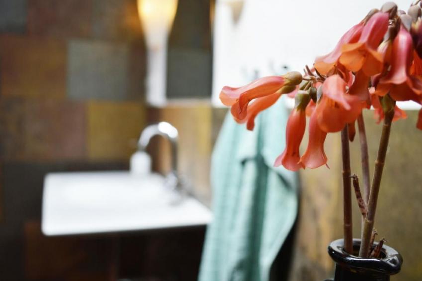 Appartement Casa Hibisco mit schönem Garten - foto 20