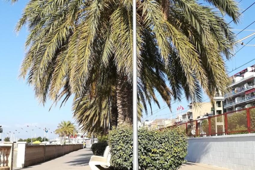 Haus "Terrassa de Mar" direkt am Strand - foto 24