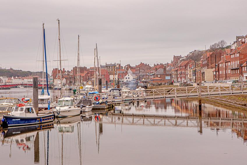 Ukulele Studio - foto 3