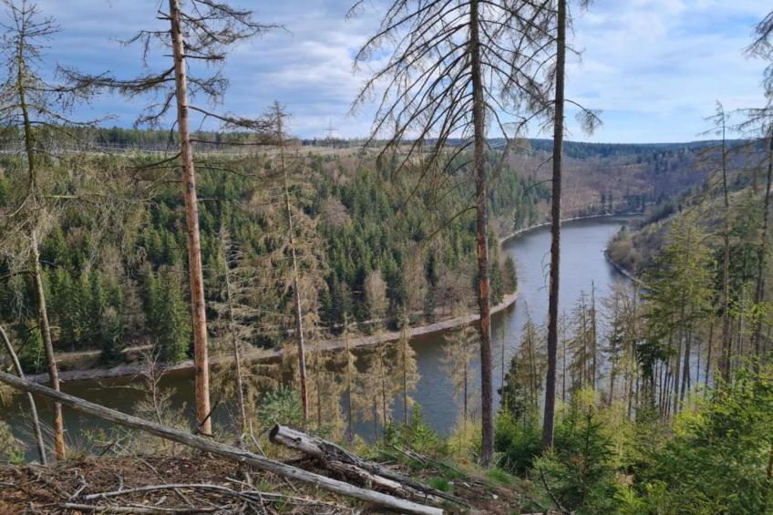 Ferienwohnug an der Saale - foto 33