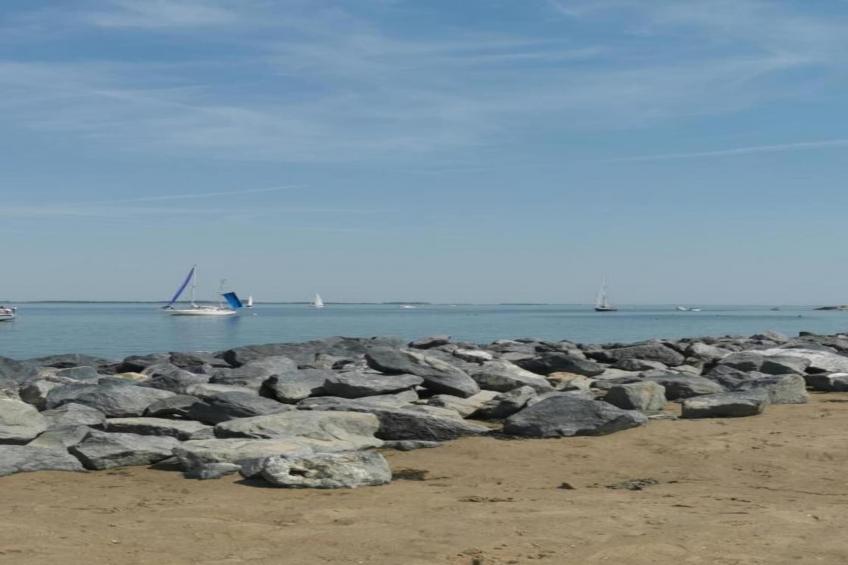 Licykreken - foto 30