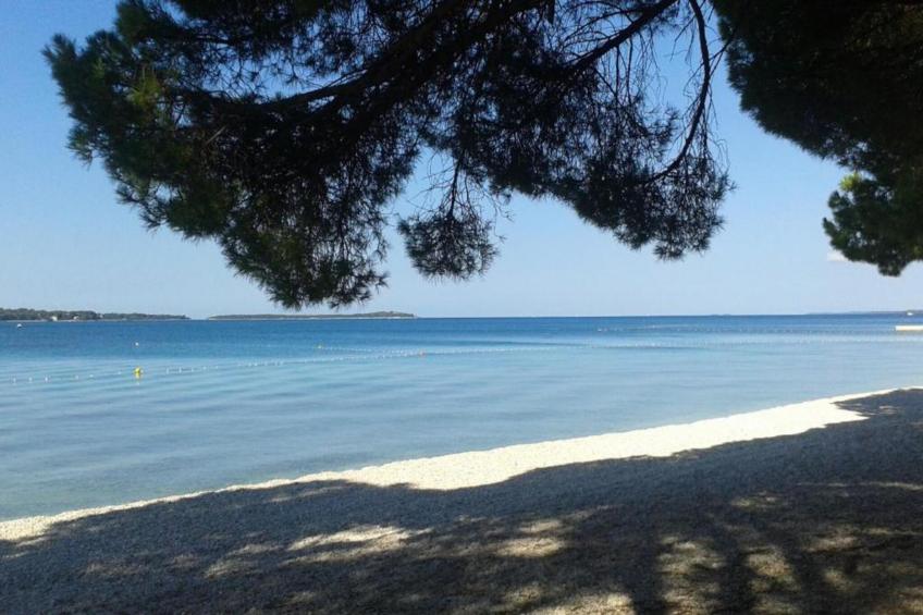 Kajfes A5 - One Bedroom Apartment with Terrace - foto 18