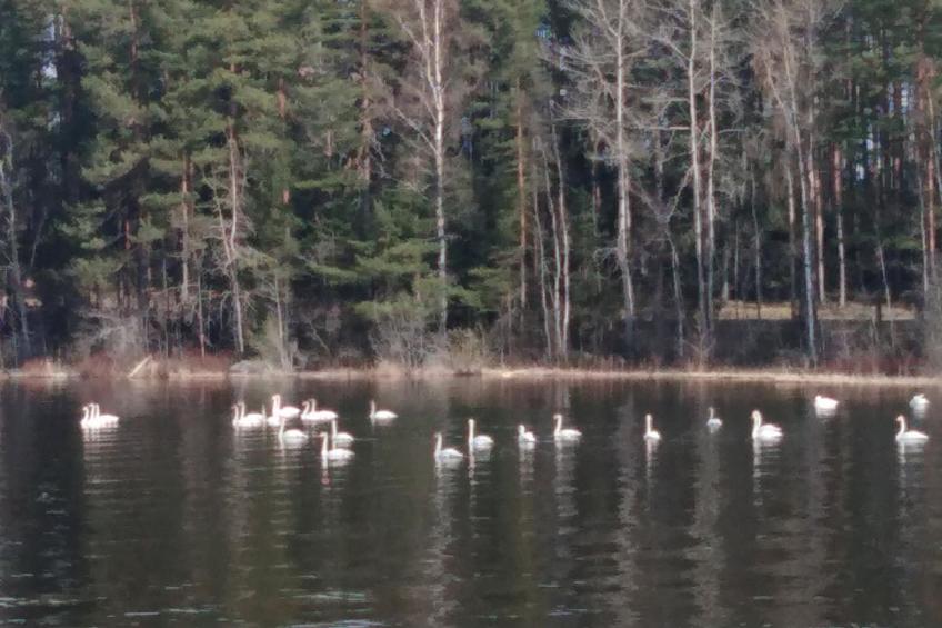 Le club 44 - foto 52