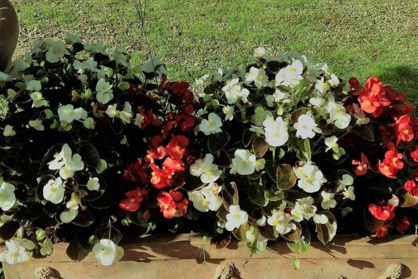 Behindertengerechtes Drei-Zimmer-Appartement, Typ E - foto 14