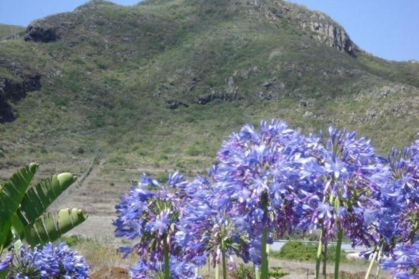 Romantisches Landhaus mit Pool - foto 13