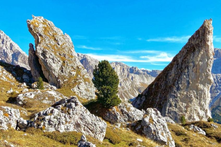 Cesa Vedla DOLOMITES - foto 44