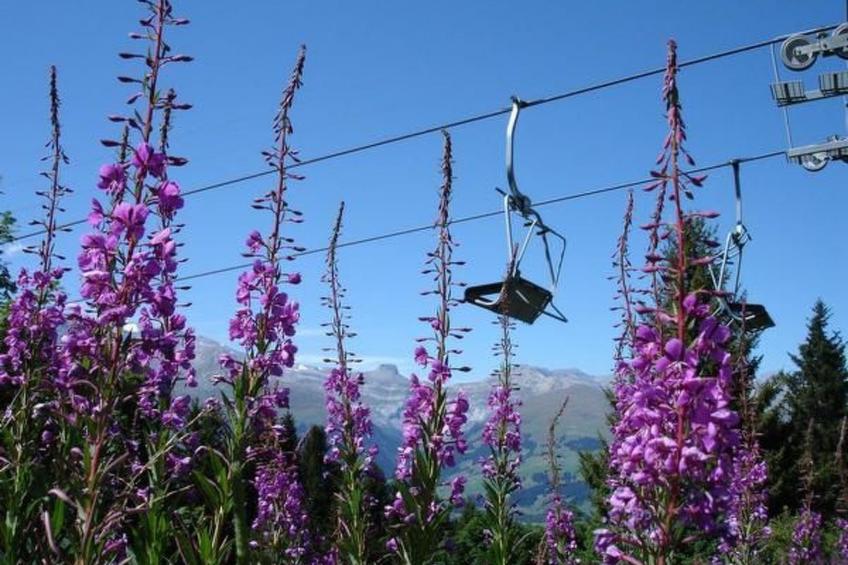 Aparthaus Surselva, direkt an der Skipiste - foto 30