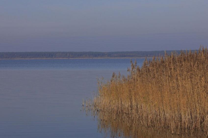 330865 - foto 22