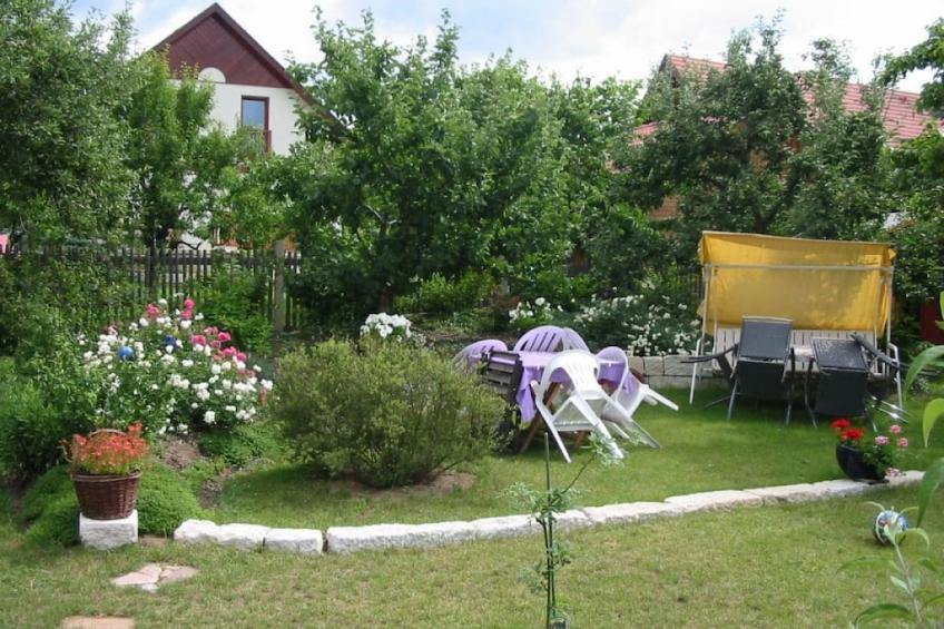 37782 - foto 2