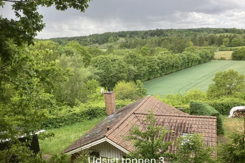 "Bernadete" - foto 35