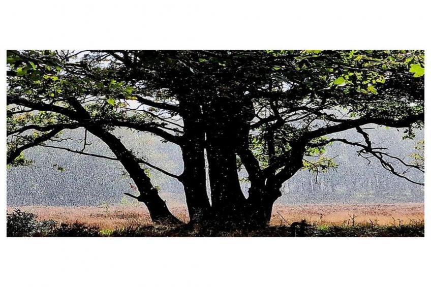 RCN de Jagerstee 3 - foto 28