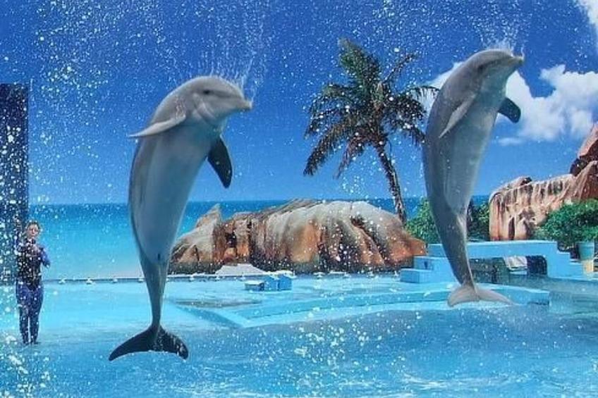 mit Balkon - foto 23