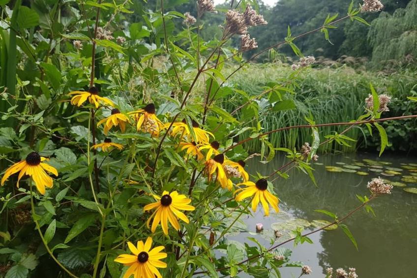 Ferienvilla mit eigener Sauna - foto 37