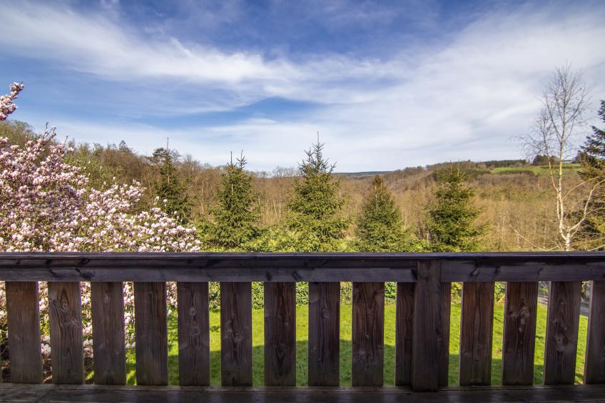 De Eekhoorn - foto 30