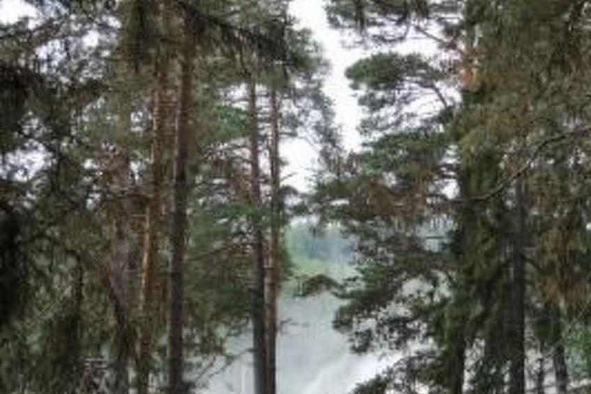 Solbacken Cottage und Lodge - foto 38