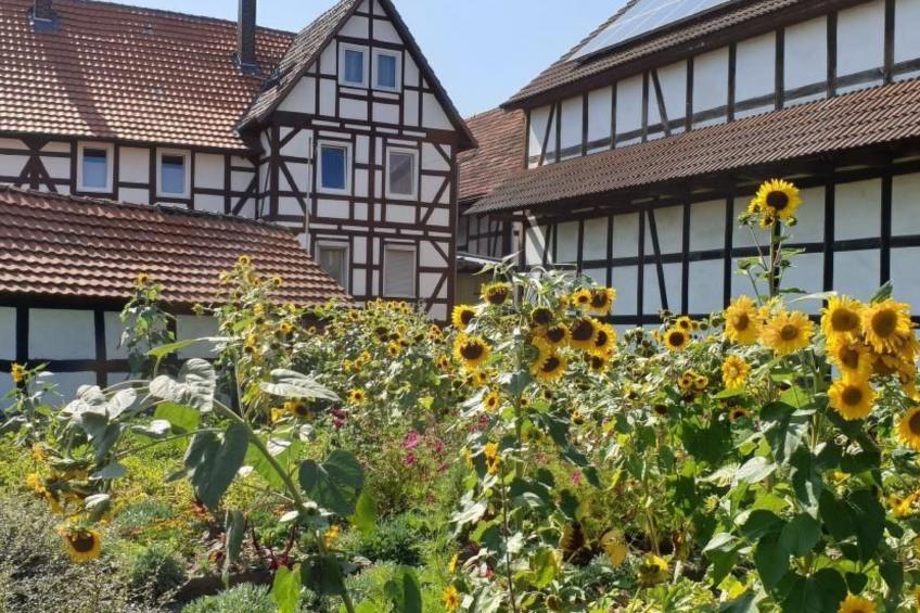 Waldhaus57 Silbersee - foto 44