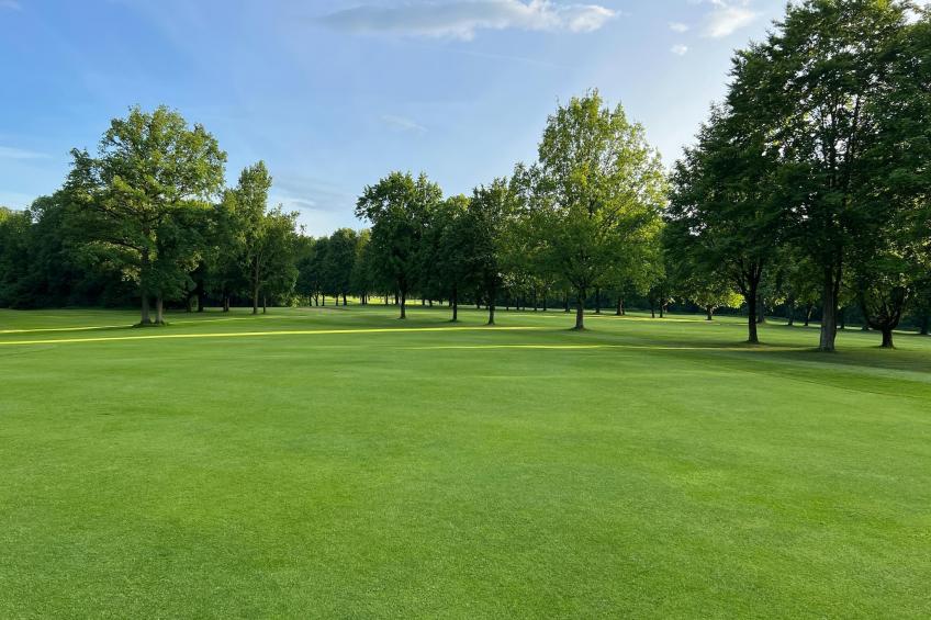 Mercure Hotel - Standard King Room - foto 34