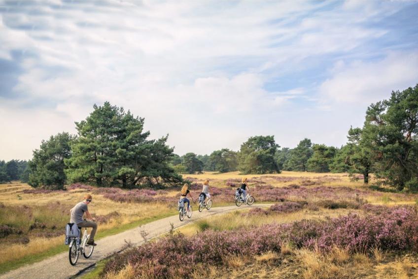 Veluwe hoeve 4 people sauna - foto 21