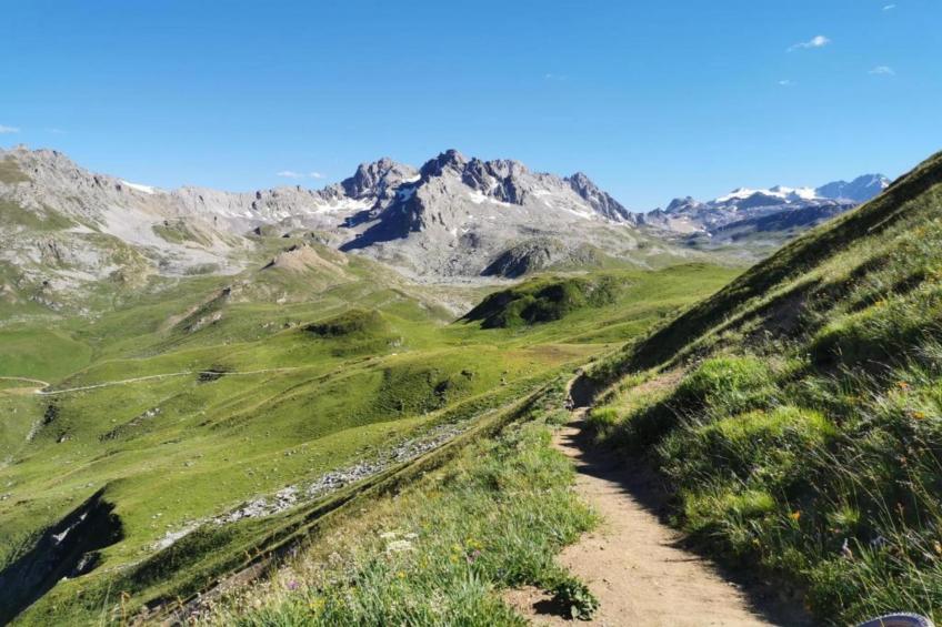 Chez Dominique - foto 32