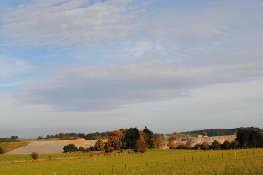 Haus Finger - foto 38