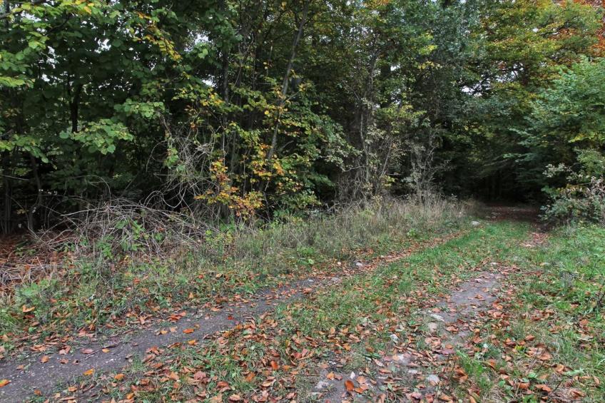 "Vojo" - 100m from the sea in Lolland, Falster and Mon - foto 4